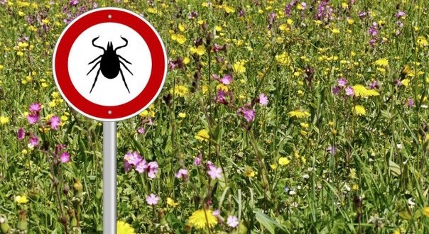 Источник фото - vk.com