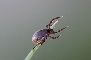 Источник фото - ria.ru