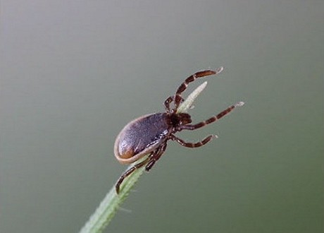 Источник фото - ria.ru