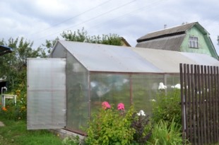 Источник фото - izhevsk.ru