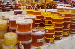 Источник фото - lotosgtrk.ru