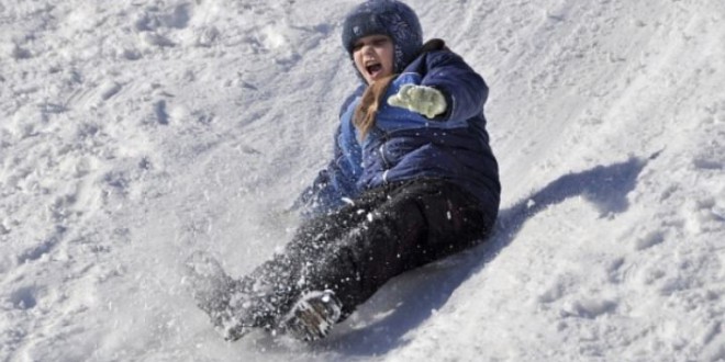 %d0%b3%d0%be%d1%80%d0%ba%d0%b8