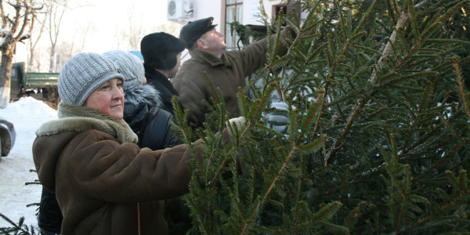 %d0%b5%d0%bb%d0%ba%d0%b8