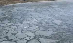 треснул лед река утонул весна