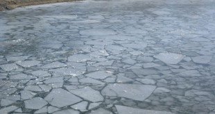 треснул лед река утонул весна