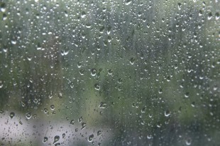 rain-beads-2347518_960_720