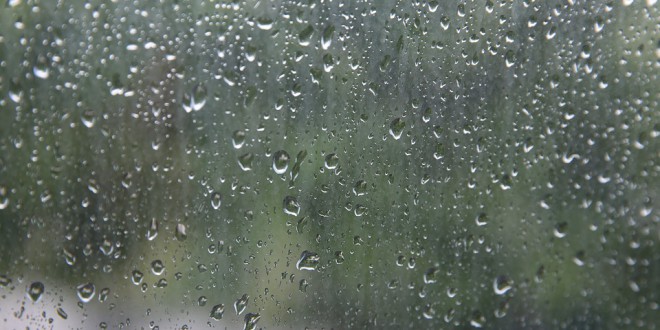 rain-beads-2347518_960_720