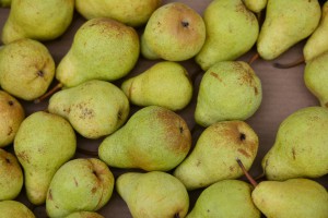 pears-2724159_960_720