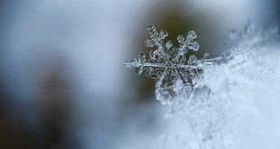 snowflake-1245748_640