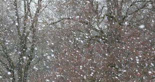 snowfall-16323_640