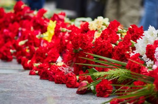 victory-day-2325938_1920