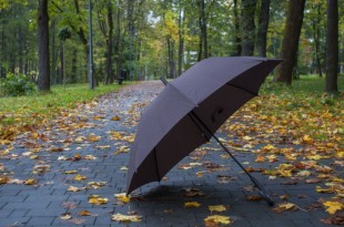 8f212ebfbf6b58c15d62227047d11865.jpg_765x560[1]