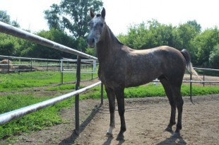 b7b457ec37ee5e2fc50c2900cdb244a5.jpg_765x560[1]