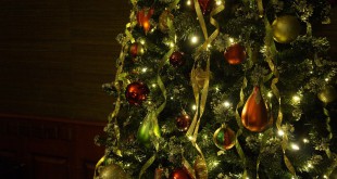 christmas-tree-708003_960_720