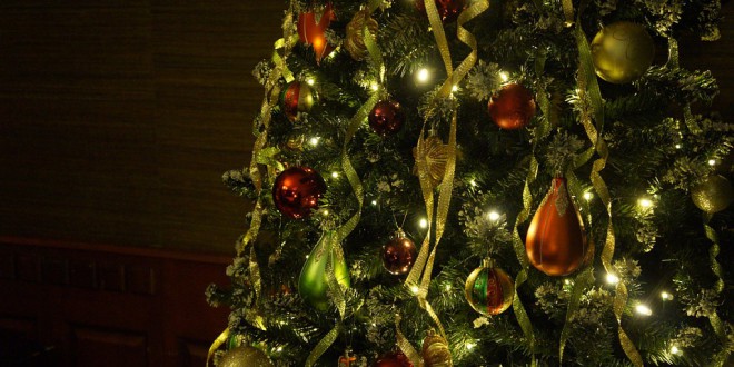 christmas-tree-708003_960_720