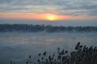 winter-2114584_960_720