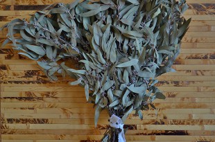 1097px-Эвкалиптовый_банный_веник.