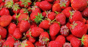 strawberries-528791_960_720