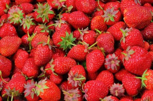 strawberries-528791_960_720