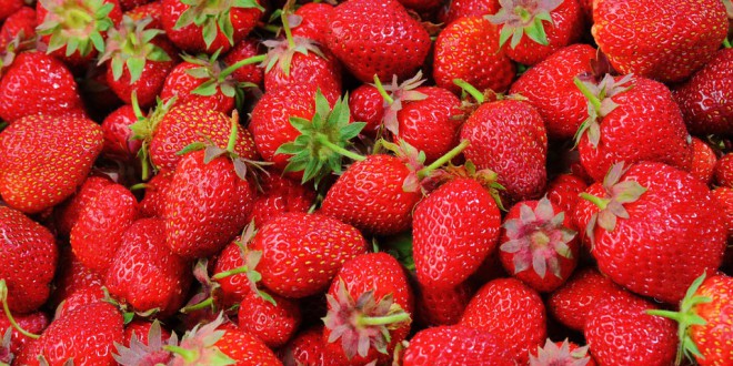 strawberries-528791_960_720