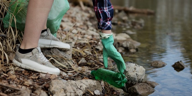 nature-4202725_960_720