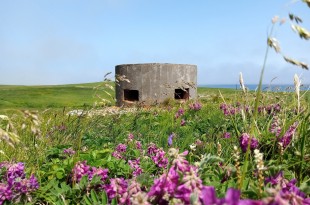 qu27m74ypy8cuey1hz19i8fbopnnxzw1 (1)