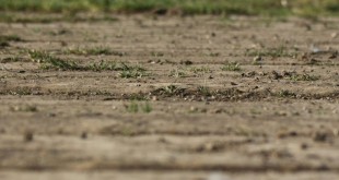 cy3ugf52m4yzfq9sonykb5qaxsx7s68a.jpg_765x560