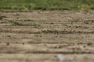 cy3ugf52m4yzfq9sonykb5qaxsx7s68a.jpg_765x560