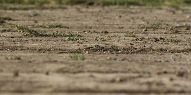 cy3ugf52m4yzfq9sonykb5qaxsx7s68a.jpg_765x560