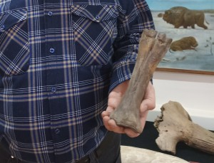 e8v22a7gvtaen5ltern6xi9xm40vlm8z