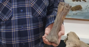 e8v22a7gvtaen5ltern6xi9xm40vlm8z