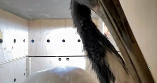 od0fjo7y39dft583ffyr1dexmx1z80z4