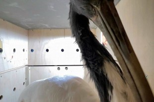 od0fjo7y39dft583ffyr1dexmx1z80z4