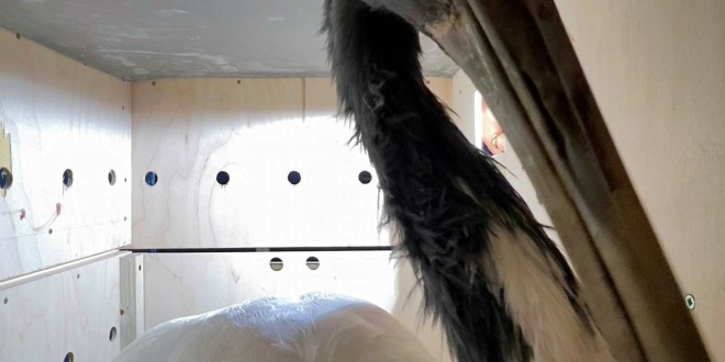 od0fjo7y39dft583ffyr1dexmx1z80z4