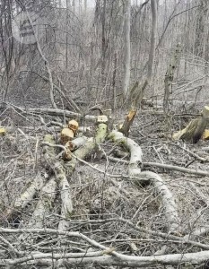 8fd1itvtferggogv8ih0amybedzj0o3l