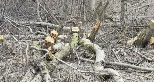 8fd1itvtferggogv8ih0amybedzj0o3l