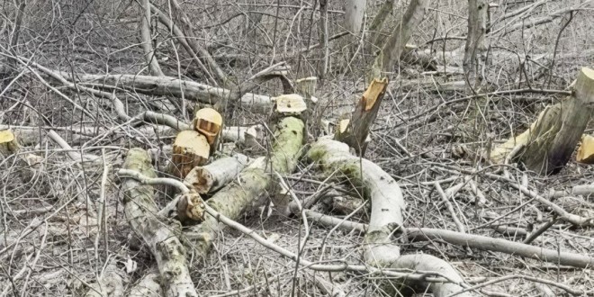 8fd1itvtferggogv8ih0amybedzj0o3l