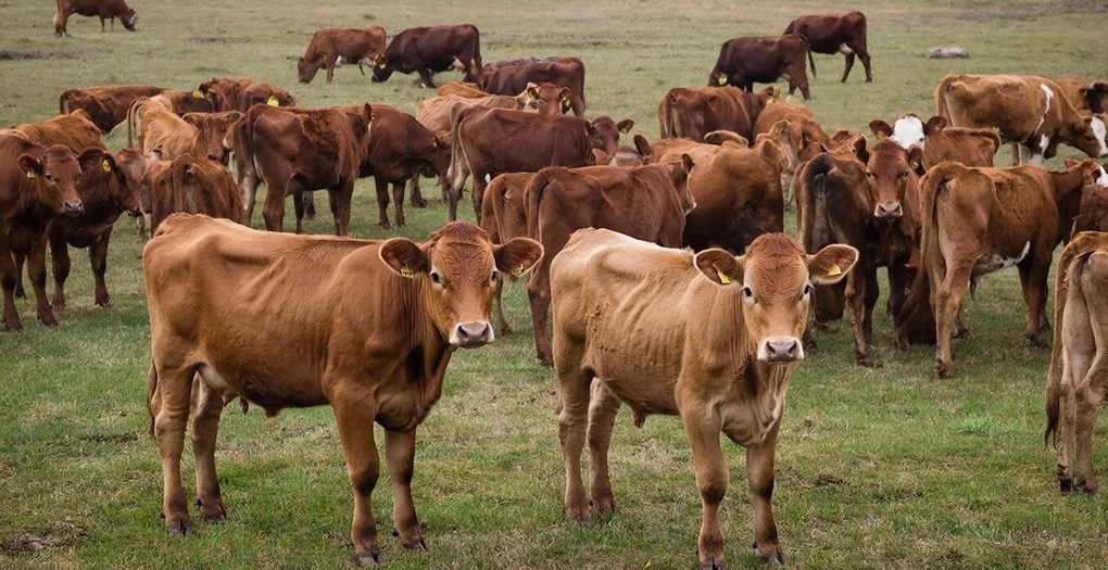 qphxkx1ww213ydhw0pkl1rtq0b1kqxj4