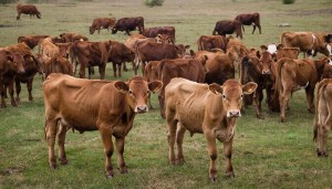 qphxkx1ww213ydhw0pkl1rtq0b1kqxj4