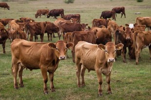 qphxkx1ww213ydhw0pkl1rtq0b1kqxj4