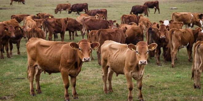 qphxkx1ww213ydhw0pkl1rtq0b1kqxj4